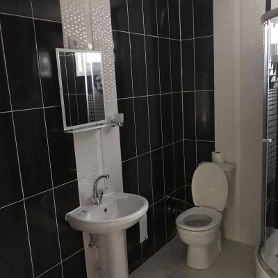 Img 0341